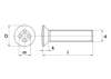 Afbeeldingen van Metaalschroef lenskop phillips RVS A2 m6 x 100mm